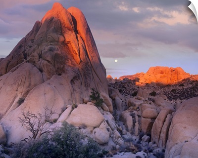 Moon over rocks, Joshua Tree National Park, California