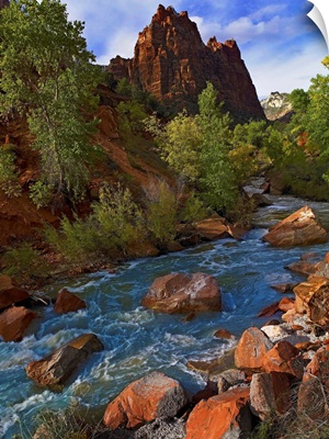 Mt Spry with the Virgin River surrounded by Cottonwood trees, Zion National Park, Utah