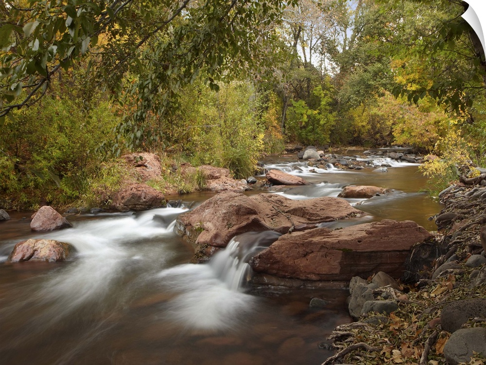 Oak Creek in Slide Rock State Park near Sedona, Arizona