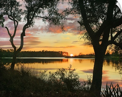 Oaks At Sunrise, Ochlockonee River State Park