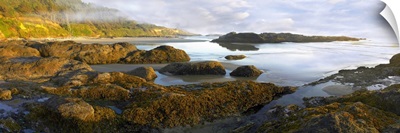 Panorama of Neptune Beach with exposed tide pools at low tide, Oregon
