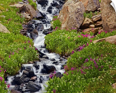 Porphyry Creek near Silverton, Colorado