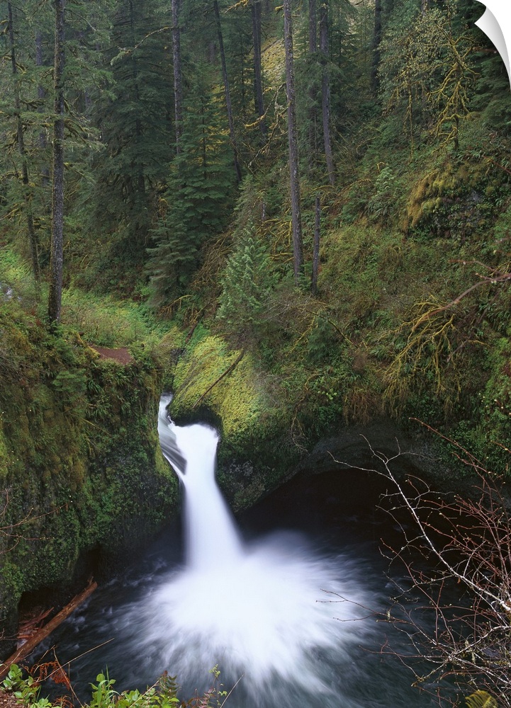 Punchbowl Falls at Eagle Creek, Columbia River Gorge, Oregon