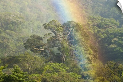 Rainbow over rainforest canopy, Costa Rica