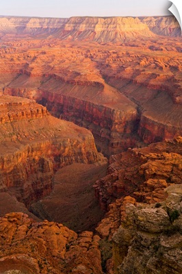 Red Sandstone Kanab Pt Grand Canyon
