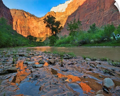 Reflections In Virgin River After Flooding, Zion National Park, Utah