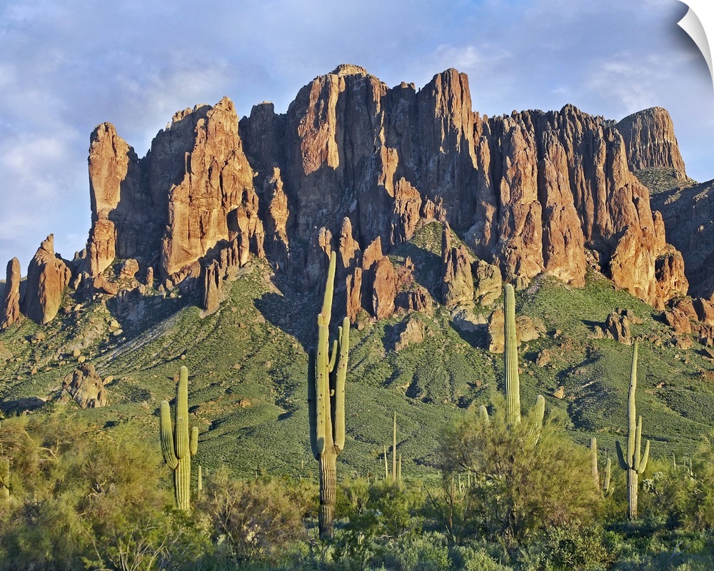Arizona, USA