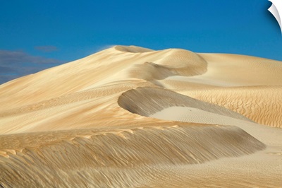 Sand Dune Cactus Beach South Australia