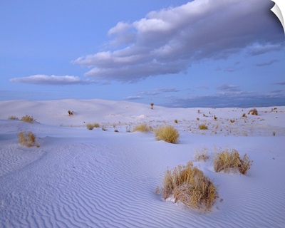 Sand Dunes At Sunset, White Sands NM, New Mexico