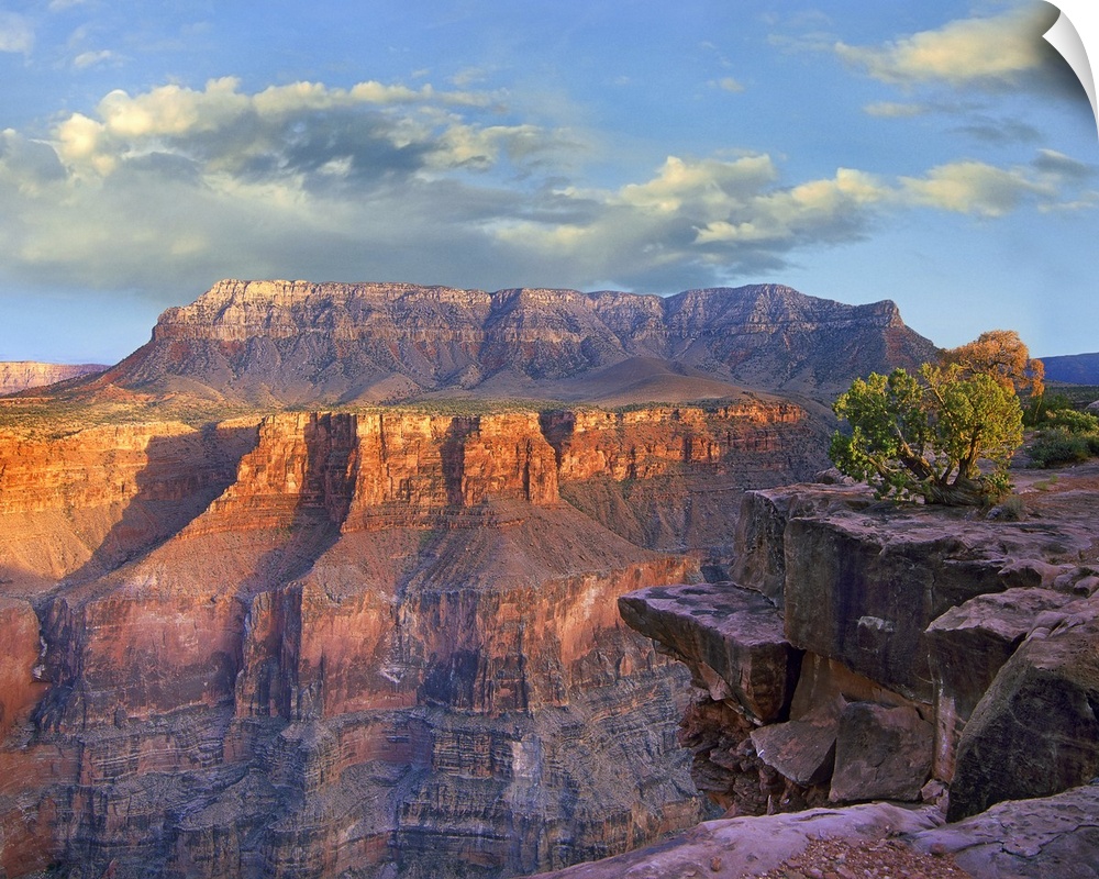 Sandstone cliffs and canyon seen from Toroweap Overlook, Grand Canyon National Park, Arizona
