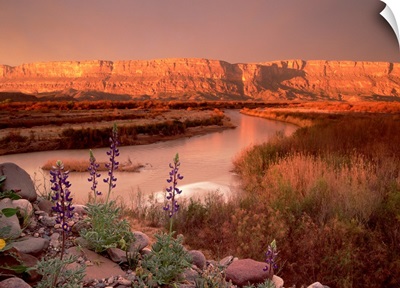 Sierra Ponce and Rio Grande, Big Bend National Park, Texas