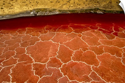 Soda formations on the surface of Lake Natron, Tanzania, east Africa