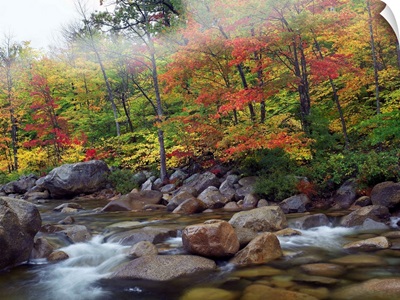 Swift River, White Mountains National Forest, New Hampshire