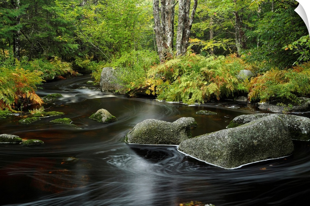 Upper Bear River Nova Scotia in early autumn
