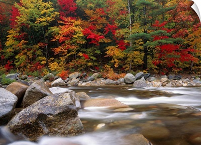 Wild river in eastern hardwood forest White Mountains National Forest Maine