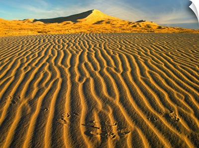 Wind ripples in Kelso Dunes, Mojave National Preserve, California
