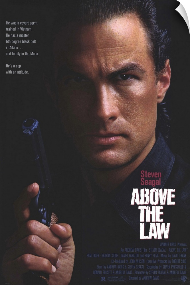 In his debut, Seagal does his wooden best to portray a tough Chicago police detective planning an enormous drug bust of on...