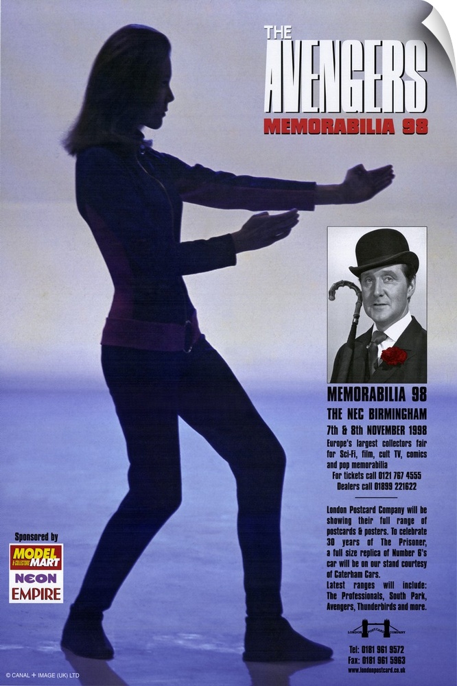 A poster of the 60s era British spy themed television show with a silhouette of one of Steedos assistances posed for action.
