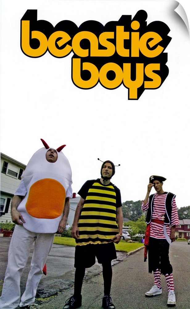 Portrait photograph on a big canvas of the Beastie Boys, standing in a subdivision street, each in a different costume of ...