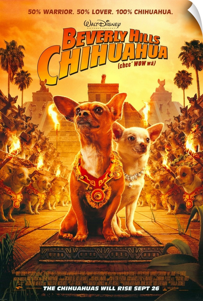 While on vacation in Mexico, Chloe, a ritzy Beverly Hills chihuahua, finds herself lost and in need of assistance in order...