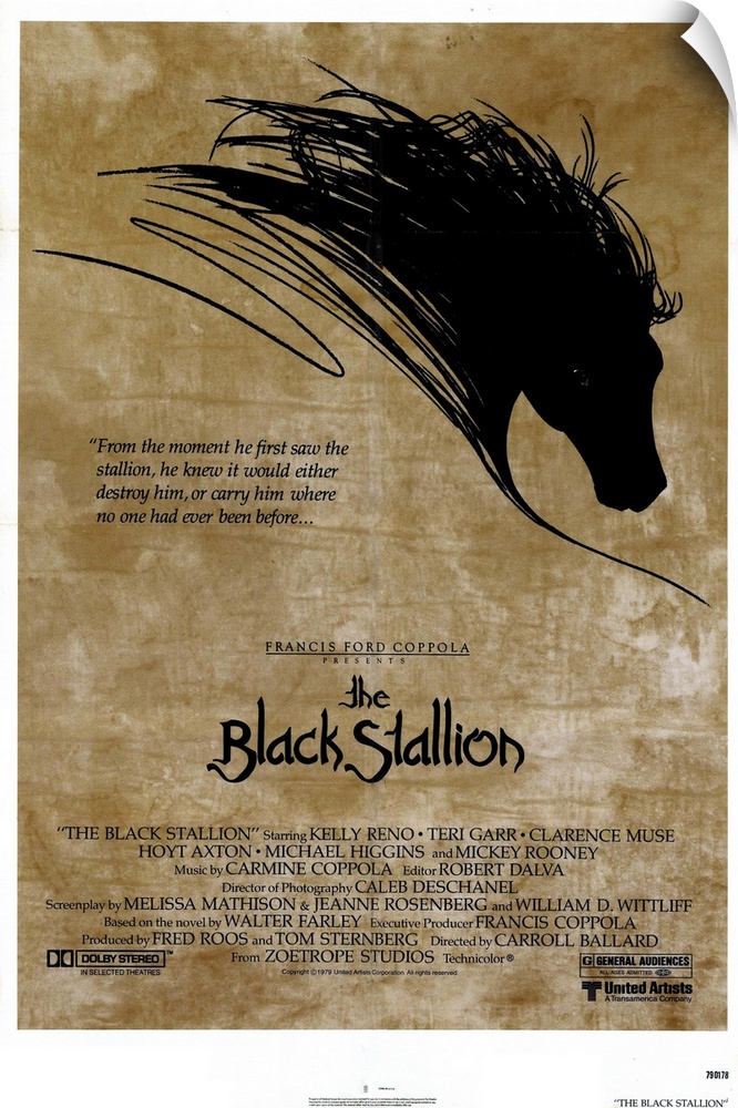 A young boy and a wild Arabian Stallion are the only survivors of a shipwreck, and they develop a deep affection for each ...