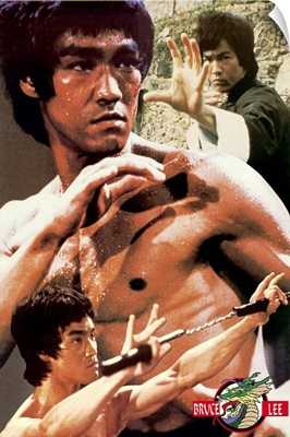 Bruce Lee ()