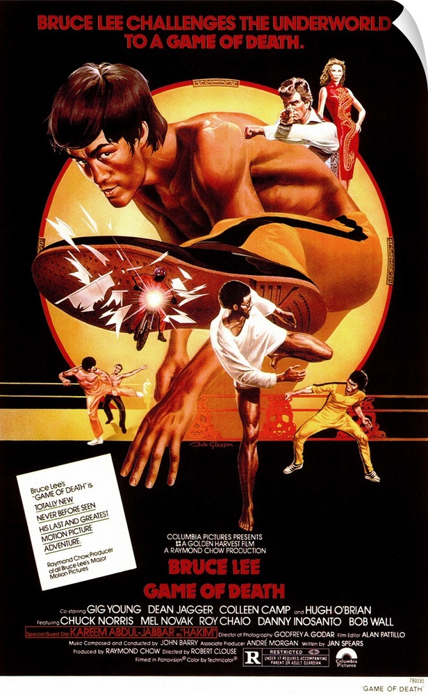 Bruce Lee's final kung fu thriller about a young martial arts movie star who gets involved with the syndicate. Lee died ha...
