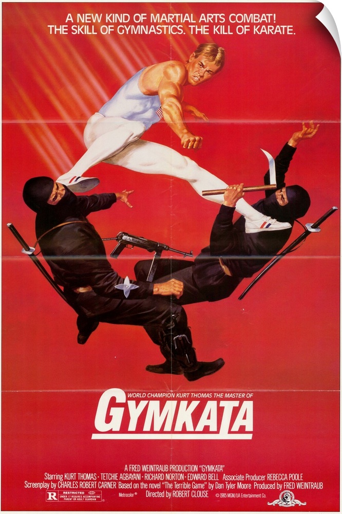 A gymnast (Olympian Thomas) must use his martial arts skills to conquer and secure a military state in a hostile European ...