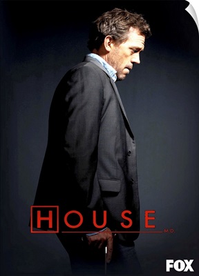 House (TV) (2004)