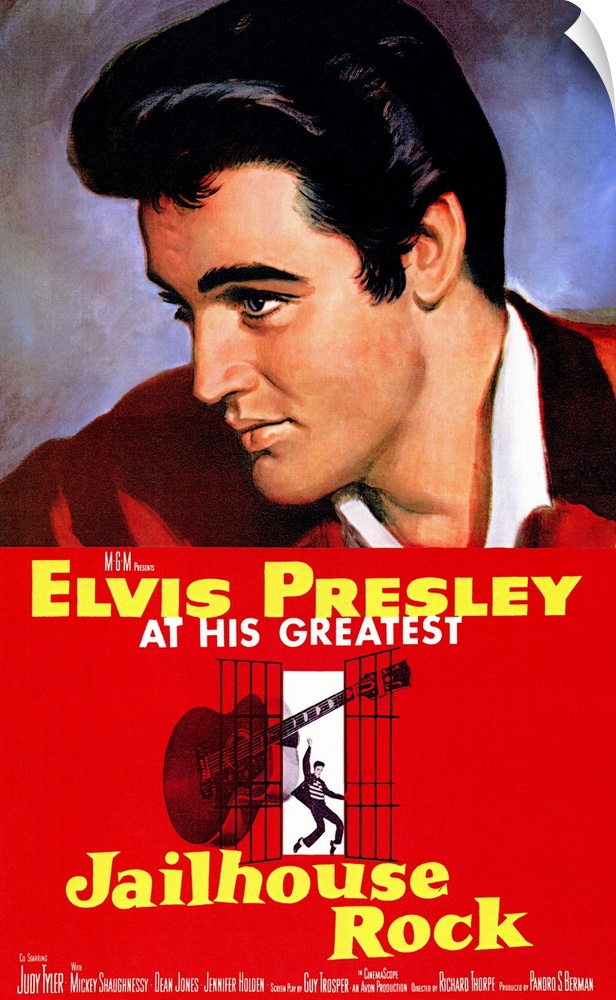 While in jail for manslaughter, teenager Vince Everett (Presley) learns to play the guitar. After his release, he slowly d...