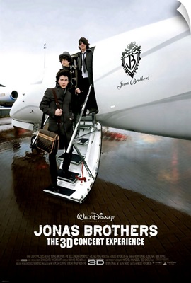 Jonas Brothers: The 3 D Concert Experience (2009)