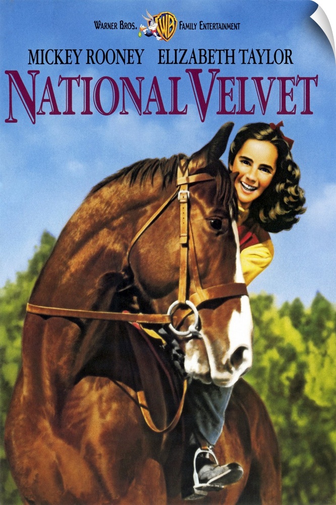 Velvet Brown (Taylor) wins a horse in a raffle and is determined to train it to compete in the famed Grand National race w...