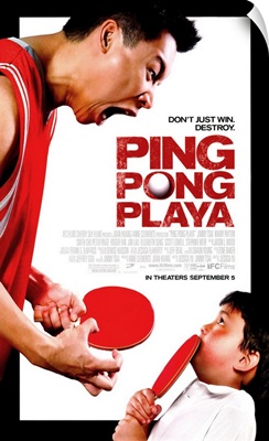 Ping Pong Playa (2008)
