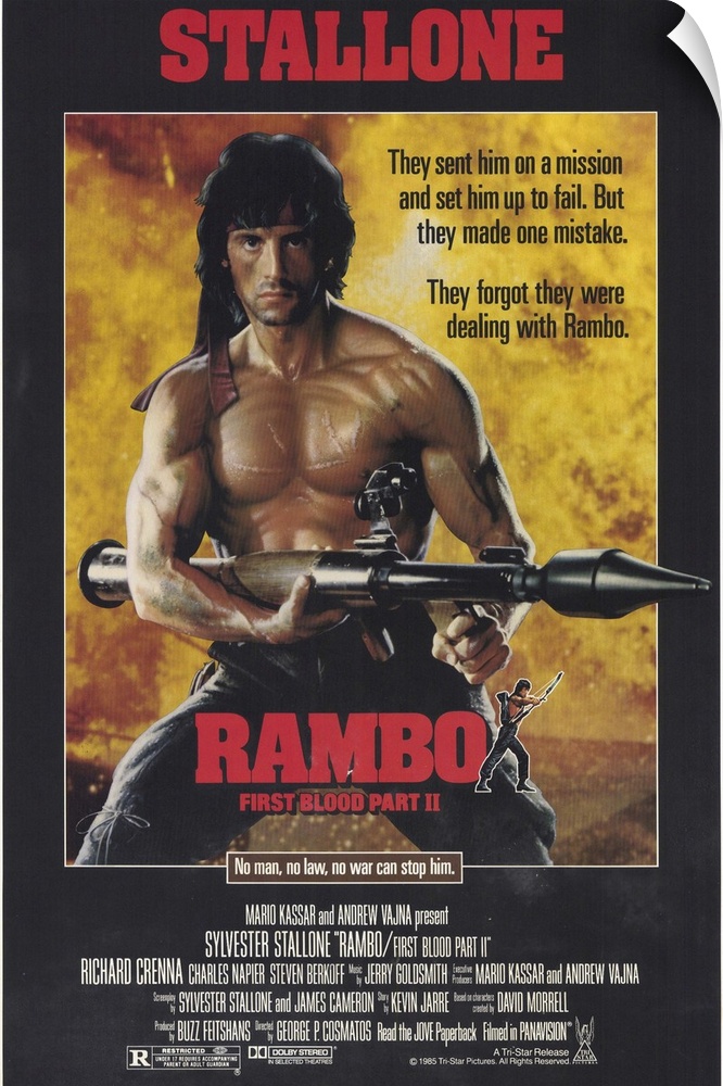 If anyone can save Our Boys still held prisoner in Asia it's John Rambo. Along the way he's tortured, flexes biceps, grunt...
