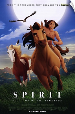 Spirit: Stallion of the Cimarron (2002)