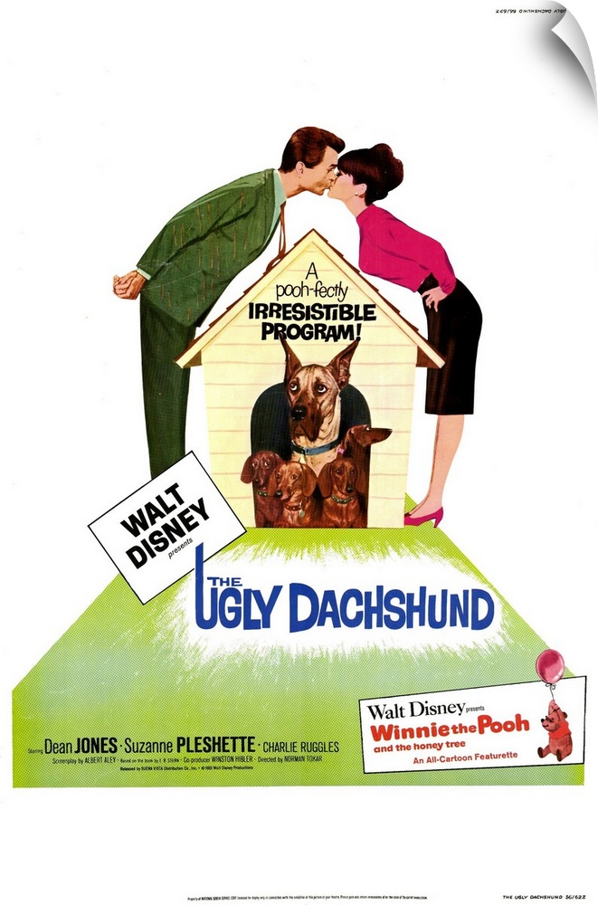 Jones and Pleshette are married dog lovers who raise Dachshunds. When Ruggles convinces them to take a Great Dane puppy, t...