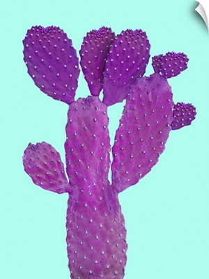 Cactus Plant V