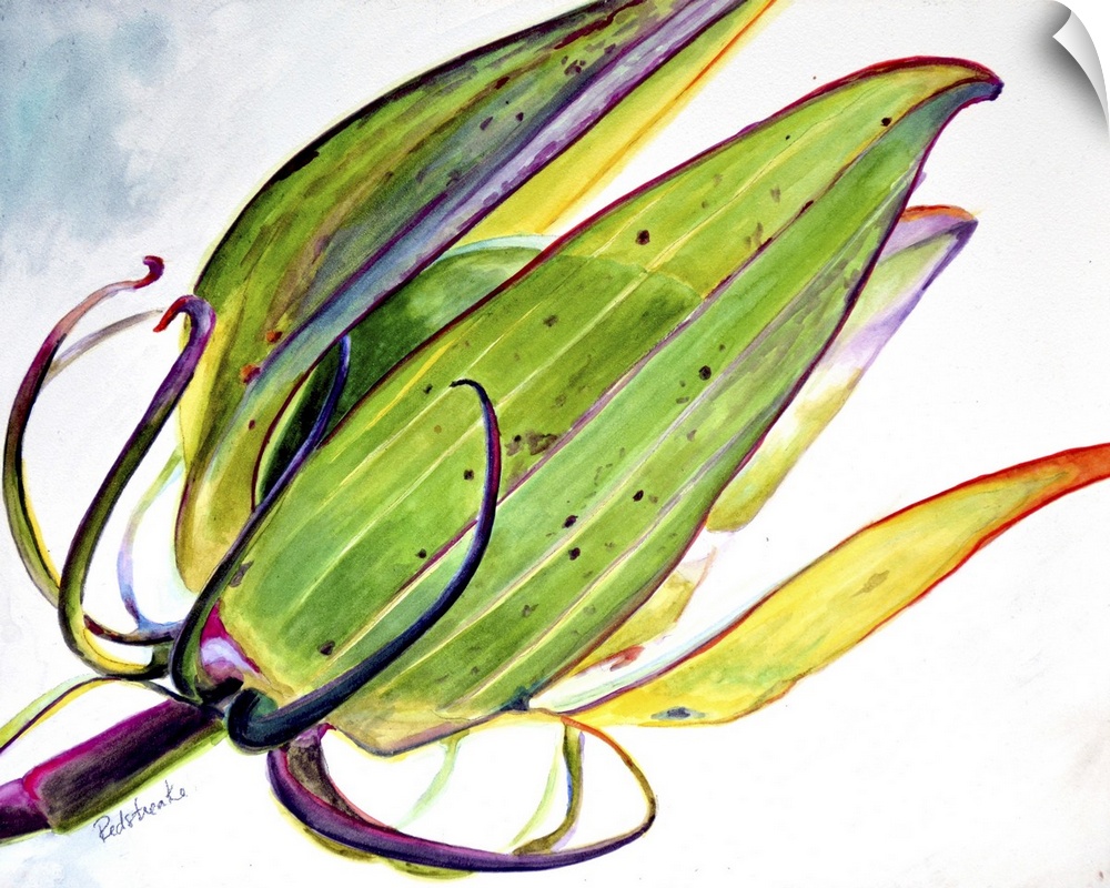Contemporary painting of a close view of a flower pod.