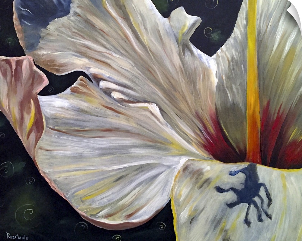 A painting of a close-up view of a white hibiscus.