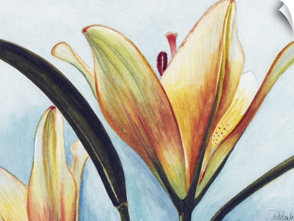 Contemporary painting of a close view of a lily.