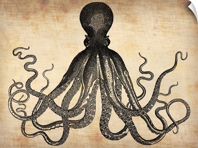 Vintage Octopus