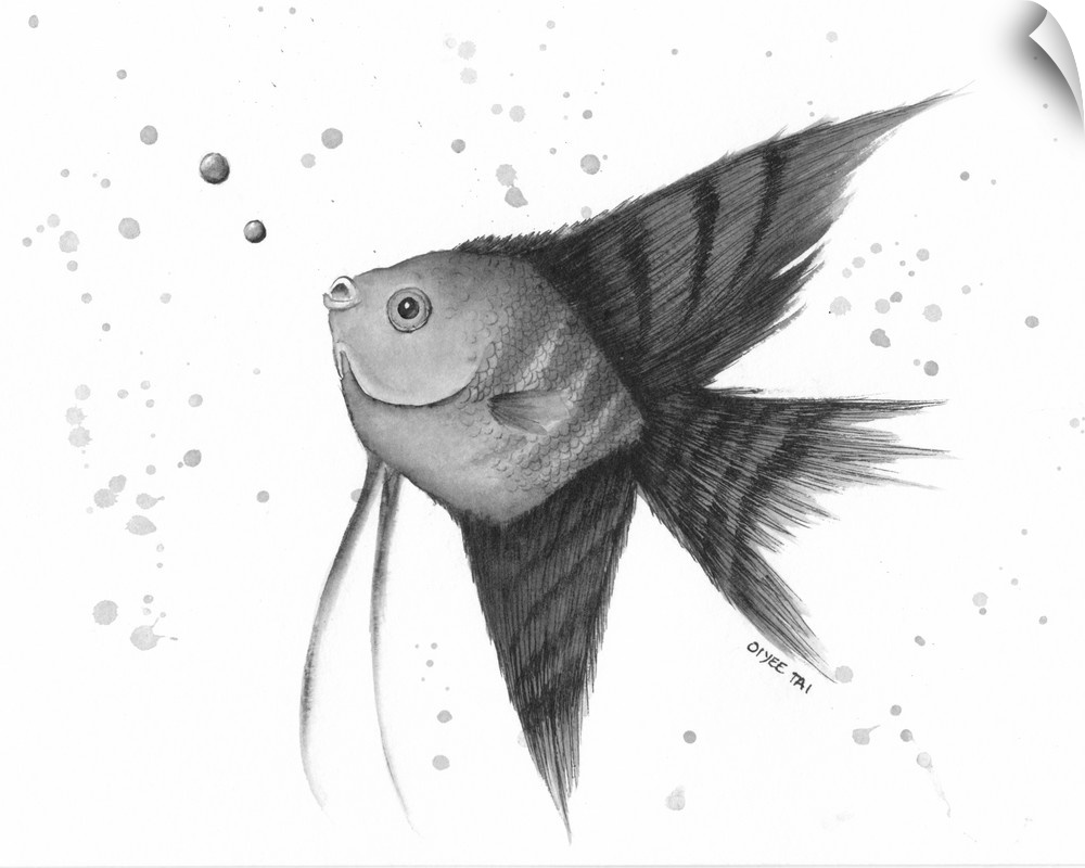 Chinese ink painting of an angel fish blowing bubbles in black and white.