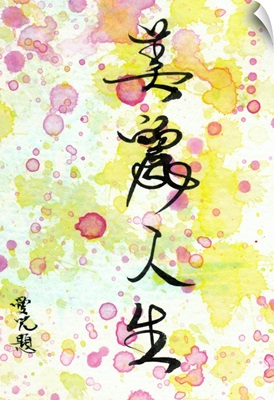 Chinese Calligraphy - A Beautiful Life