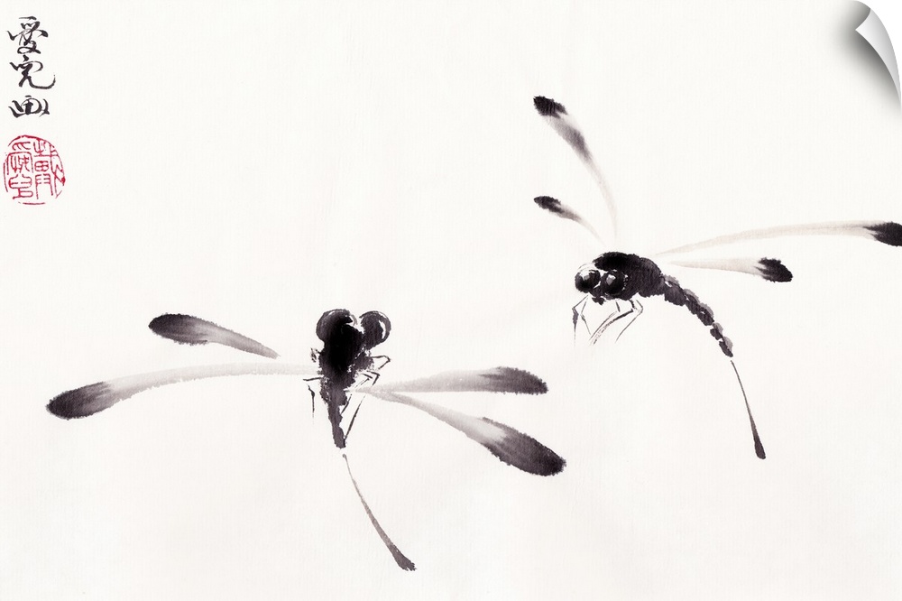 Chinese ink painting of two dragonflies on a white background.