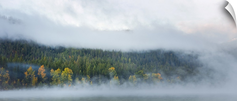 Mist rise from Lake Wenatchee near Leavenworth, Washington, surrounding a stand of trees showing the first colors of autumn.