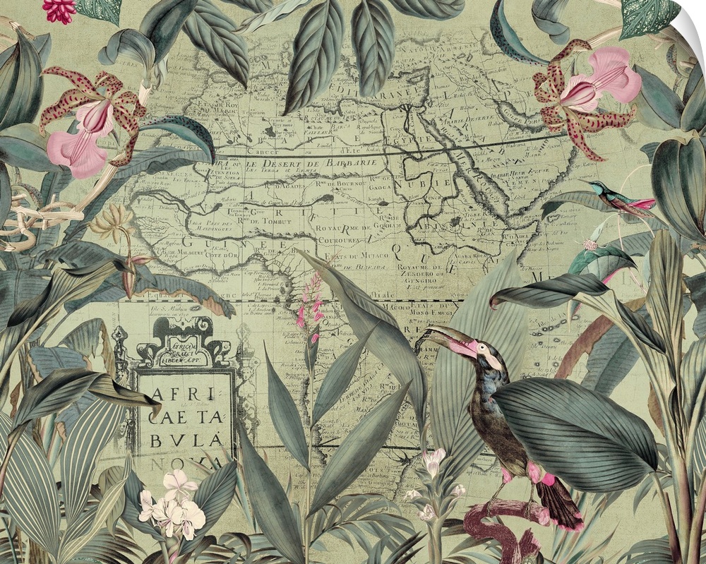 Vintage style art with old map of Africa, exotic vegetation, and toucan.