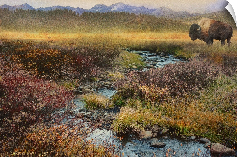 Contemporary artwork of a bison beside a plains creek.