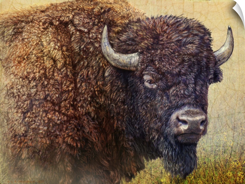 Contemporary artwork of a bison portrait.