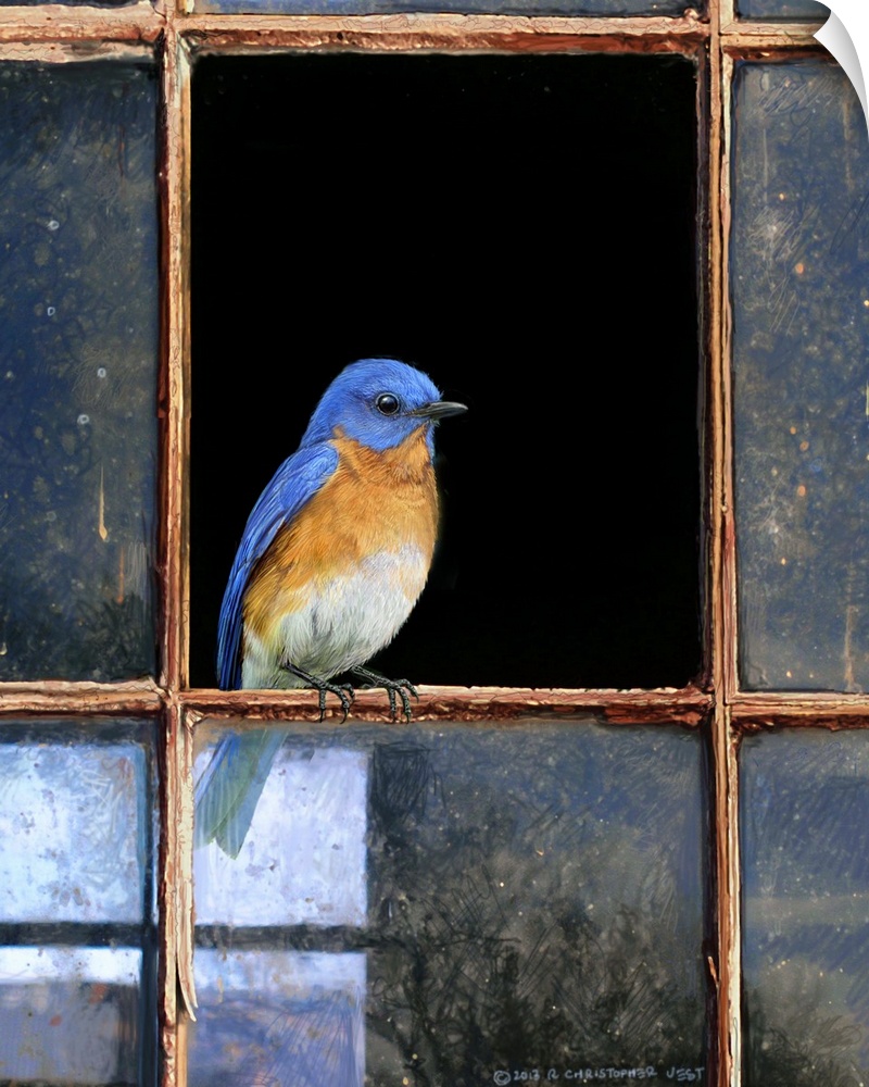 Contemporary artwork of a bird perched on a broken window pane.