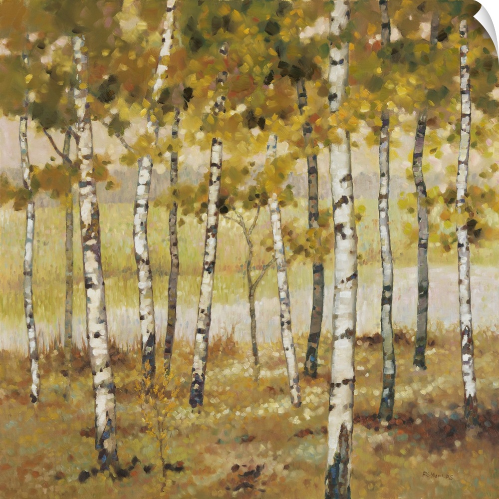 Contemporary artwork of a grove of golden birches in the fall.